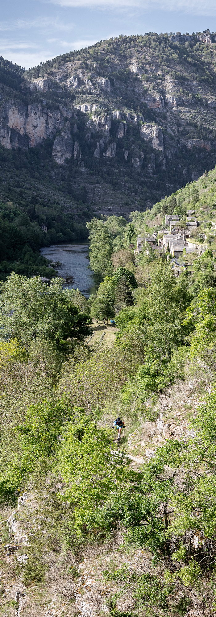 ©cyrille quintard-tarnvalley-2025-R6K27292 site